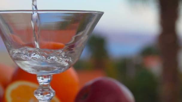 Martini wordt gegoten in een glas op een achtergrond van citrusvruchten — Stockvideo