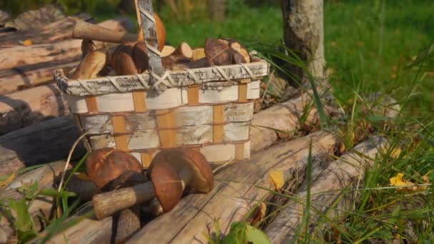 Ψάθινο καλάθι με μανιτάρια σε μια ξύλινη γέφυρα — Αρχείο Βίντεο