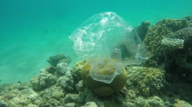 Plastik çöp torbası red Sea'deki/daki mercan kayalıkları üzerinde yüzen