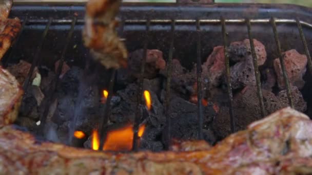 Мясо перевернулось на гриле в огне — стоковое видео