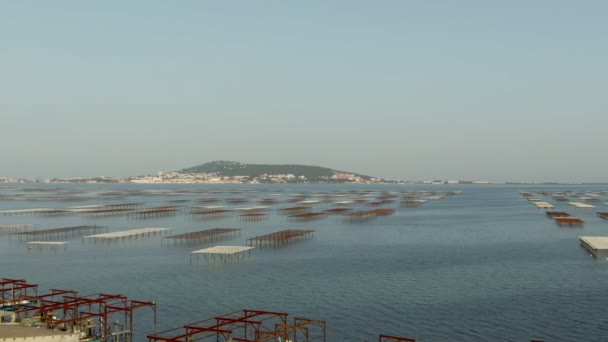 Aerial shot of lake with oyster farm and vineyard — ストック動画