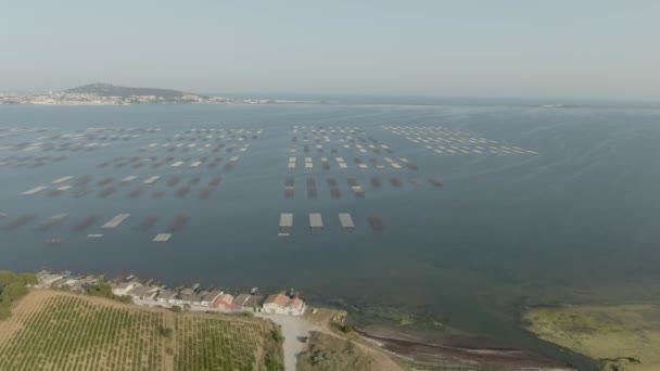 Αγροκτήματα Oyster στη λίμνη Etang de Thau στη Γαλλία — Αρχείο Βίντεο