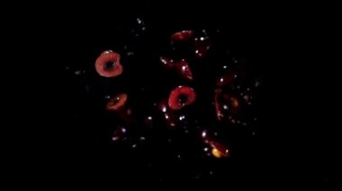 Yarım kiraz siyah arka planda uçar.