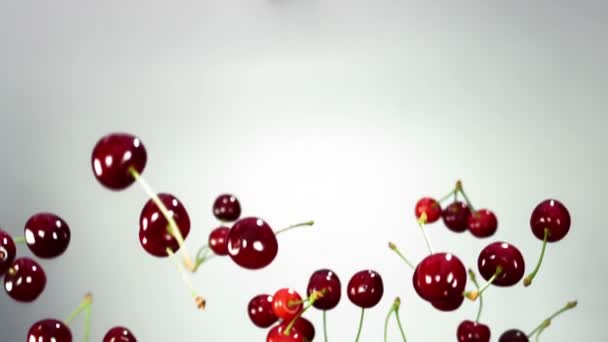 Cereza roja cayendo sobre fondo blanco — Vídeo de stock