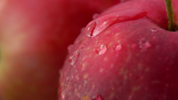 Gota de agua desciende por una gran manzana roja madura — Vídeo de stock