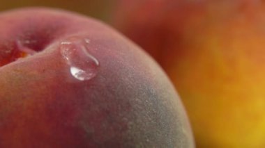 Parlayan su damlası şeftaliden aşağı akıyor.