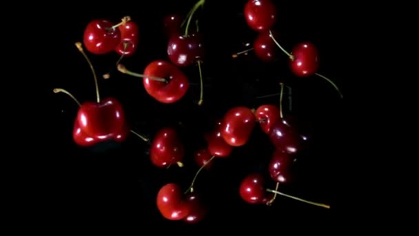 Close-up de cereja com raminhos no fundo preto — Vídeo de Stock