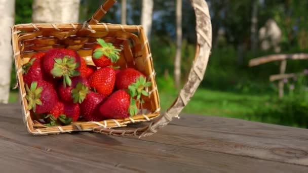 Φράουλες πέφτουν στο τραπέζι και κυλούν μπροστά — Αρχείο Βίντεο