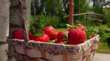 Çilek parlak güneşli bir günde bir hasır sepete düşen