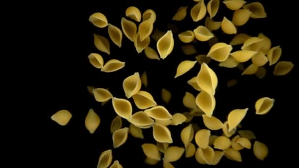 Pasta conchiglie vola su uno sfondo nero — Video Stock