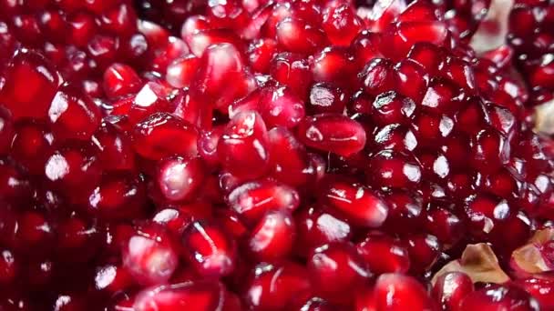 Grains juteux brillants de grenade rouge — Video