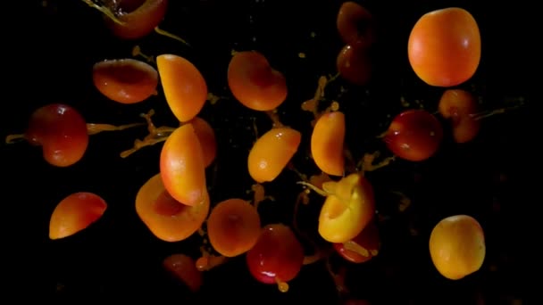 Abricot rebond avec éclaboussures sur fond noir — Video