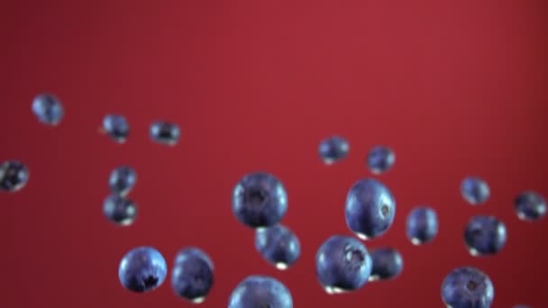 Große Blueberry Sprünge und Drehungen — Stockvideo