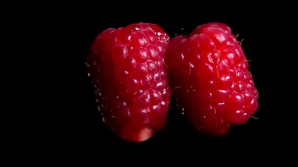 Framboises volent et rebondissent dans l'air avec de l'eau — Video