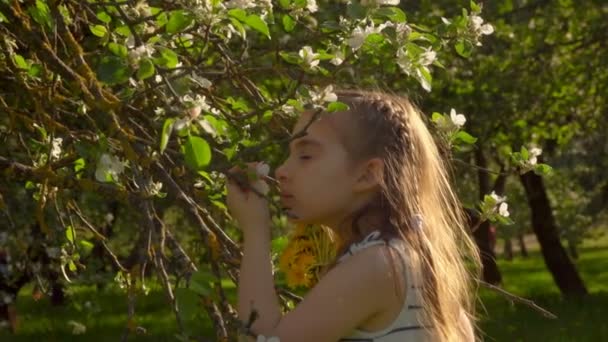 Girl with long hair is sniffing apple tree flowers — Stock Video