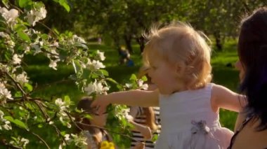 Little girl is playing with apple tree branches
