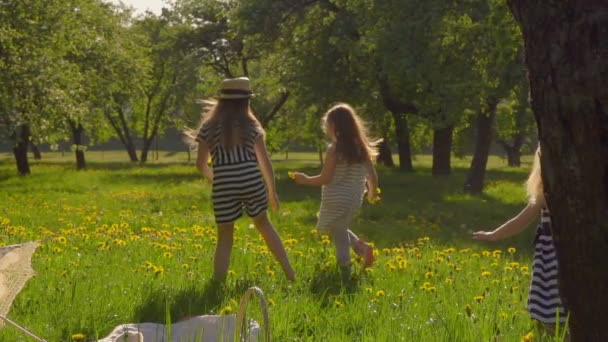 Dziewczyny w kapeluszach zbierają kwiaty mniszka lekarskiego — Wideo stockowe