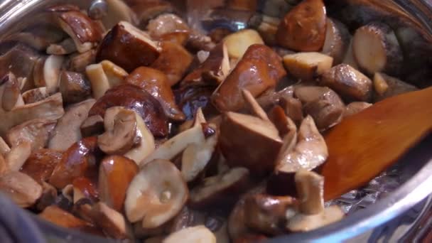 Delicious fresh mushrooms are fried in a pan — Stock Video