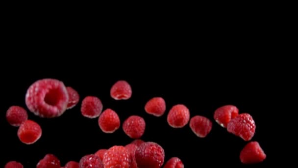 Raspberries bouncing up on a black background — Stock Video