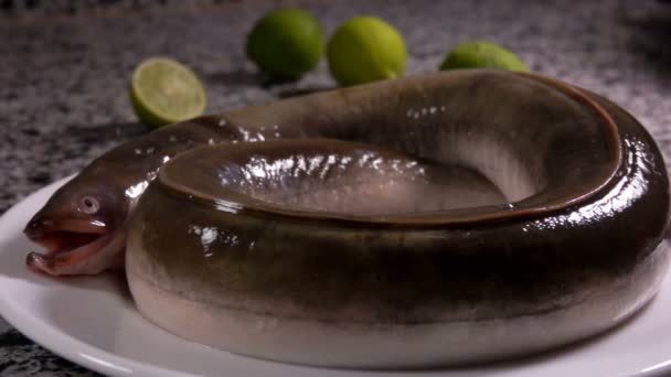 Placa con una anguila fresca espolvoreada con sal — Vídeo de stock