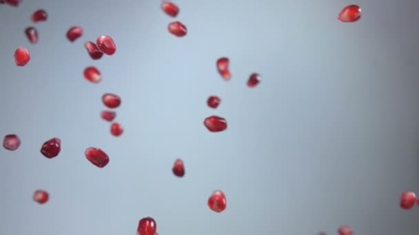 Granatapfelkörner fallen auf weißem Hintergrund — Stockvideo