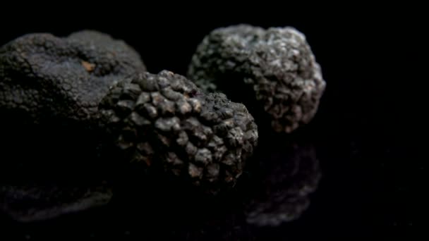 Vzácné černé lanýže houby na černém pozadí — Stock video