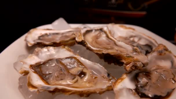 Open oysters on a white plate on the ice — Stock Video