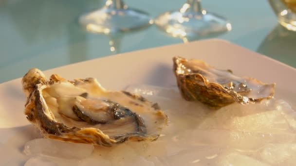 Hand leg een open oester op een wit bord met ijs — Stockvideo