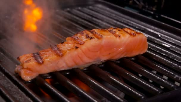 Piece of raw salmon fillet fryed on the grill — 비디오