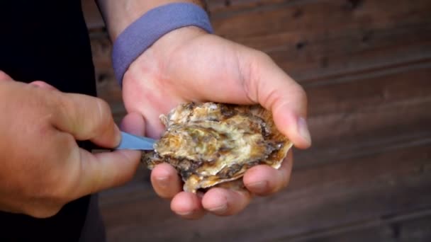 Männliche Hände öffnen Austern mit einem speziellen Austernmesser — Stockvideo