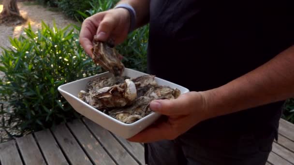 Man studying freshly caught mediterranean oysters — 비디오