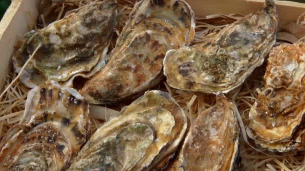 Verse oesters in een houten doos op het schaafsel — Stockvideo