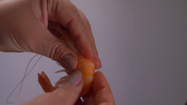 Руки оторвать голову и удалить скорлупу креветок — стоковое видео