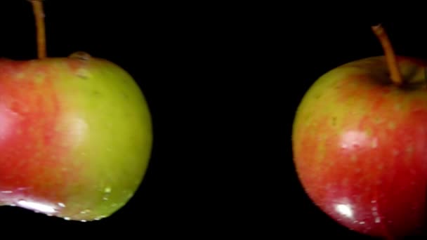 İki ıslak kırmızı-yeşil elma birbiriyle çarpışıyor. — Stok video