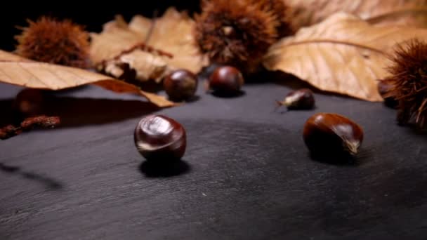 Castañas frescas maduras que caen sobre la superficie negra — Vídeos de Stock