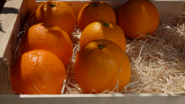 Mano mette arance succose mature in una scatola di legno — Video Stock