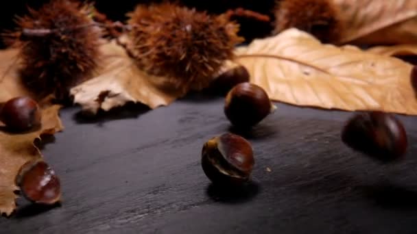 Ripe chestnuts falling on black surface — Stock Video
