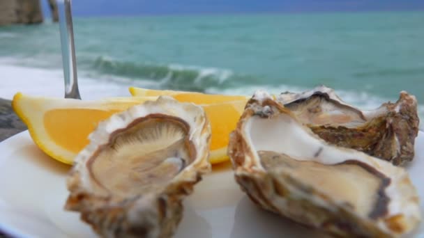 Panorama d'une assiette blanche pleine d'huîtres fraîches — Video