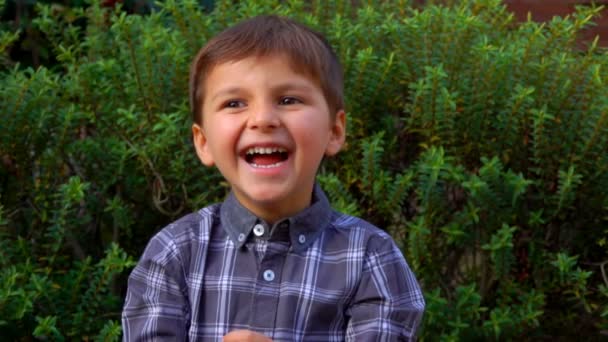 Niño feliz se ríe en voz alta al aire libre — Vídeos de Stock