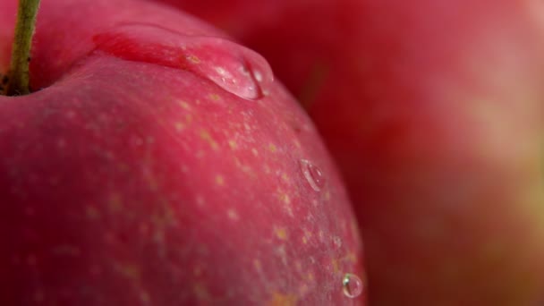 Drop of water flows down large ripe red apple — Stock Video