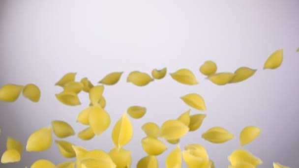 Pasta Conchiglie volando sobre el fondo blanco — Vídeos de Stock