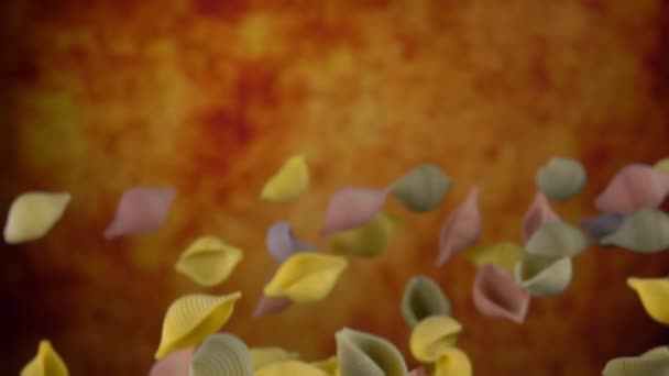 Colored pasta Conchiglie flying up in the air — 비디오