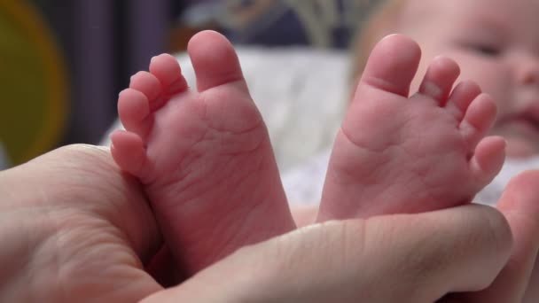Barefoot baby feet in the hands of an adult — 비디오