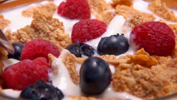 Spoon takes berries with cereal and yogurt — Stock Video