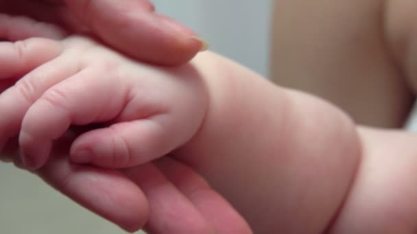 Kleine vingers van een baby houden volwassen hand vast — Stockvideo