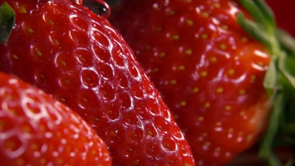 Erdbeeren mit Wassertropfen, die über die Oberfläche fließen — Stockvideo