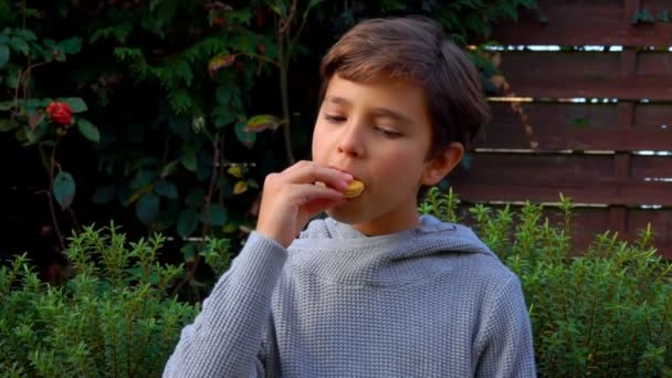 Tiener jongen eet een frans amandel koekje macaroon — Stockvideo