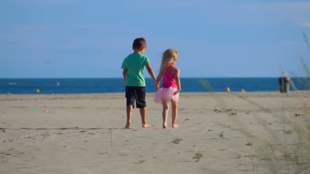 Bakifrån av en pojke och flicka som springer på stranden — Stockvideo