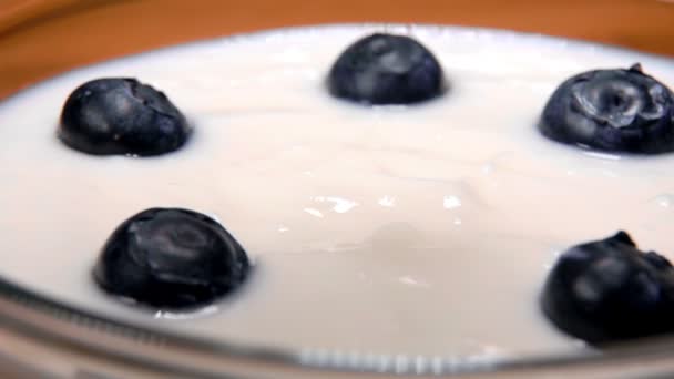 Большая черника падает на вкусный йогурт — стоковое видео
