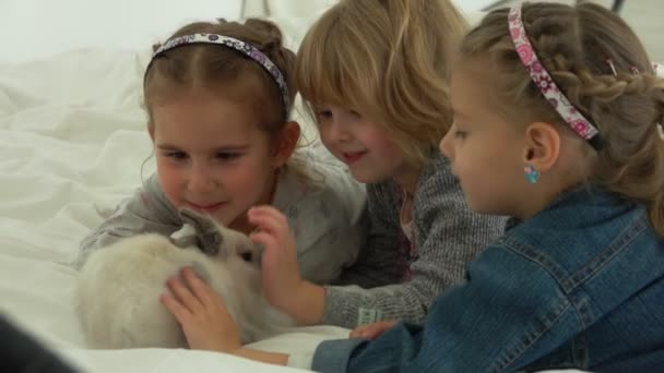 Drei Mädchen berühren zärtlich ein süßes, flauschiges Kaninchen — Stockvideo